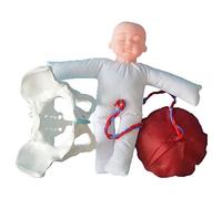 MIZHENG Simulateur Accouchement Taille Réelle Bassin Féminin Modèle D'accouchement Modèle Formation Sage-Femme Bassin Féminin Et Simulateur D'accouchement Bébé Ressources Éducatives