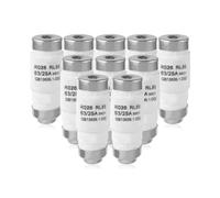 mizikuu 10 PCS Fusible électronique, 25A Fusible Céramique Fusible Neozed D02 Insert de Fusible 400VAC Pour Protection des Circuits électriques, la Sécurité des Systèmes électriques
