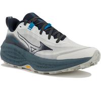 Mizuno Neo Daichi 10 Gris/argent 40.5