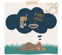 MjAMjAM - Duett - Filet de Saumon et Poulet : une Romance Culinaire 190 g x6