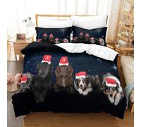 MJFCoin 3D, Imprimé Chapeau de Père Noël Ensemble De Literie Microfibre Super Douce Et Respirante Sets De Housses De Couettes 3 Pièces avec Taies d'oreiller Super King（260x220cm）