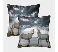 MJFCoin Cheval Blanc Housse De Coussin Ensemble De 2 ponyboi Décoratives Salon De Jardin Extérieur Lot De 2 Motif Imprimé Confort Et Douceur Garantis Confort du Salon 45x45cm