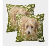 MJFCoin Chien Mignon Housse De Coussin Ensemble De 2 Daisy Décoratives Salon De Jardin Extérieur Lot De 2 Motif Imprimé Confort Et Douceur Garantis Confort du Salon 45x45cm