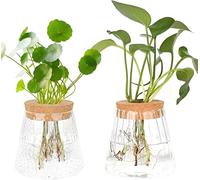MJFENDAI Lot de 2 petits vases vintage pour plantes hydroponiques - Pour décoration de table - Vase en verre - Station de propagation - Vase sphérique pour plantes, fleurs, plantes d'intérieur