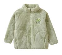 Mjjsk Veste polaire pour enfants garçons filles Sherpa fermeture éclair intégrale manteaux d'hiver chauds en peluche mignon vêtements d'extérieur animaux broderie veste d'automne, Vert, 12-13 ans