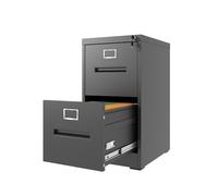 MJMLUCK Classeur Vertical métallique à 2 tiroirs avec Serrure, Format A4/Lettre, pour Bureau ou Maison. Assemblage requis (Blanc) (Noir).