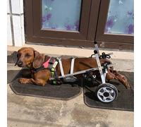 MJMLUCK Fauteuil roulant pour chien teckel pour pattes arrière, aide à la mobilité des animaux de compagnie, soutien de la hanche pour chien, attelle réglable, poids léger (taille S) (taille S, taille