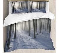 MJNLYDAO literie de Housse de Couette et d'oreiller.Cet Ensemble particulièrement adapté aux Personnes allergiques.Chemin dans la forêt brumeuse d'hiver rétroéclairé par Le Soleil du ma.228x264cm