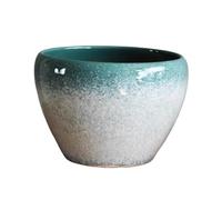 mjyyyds188 macètes pour Plantes des Pots de Fleurs Simples et élégants Peuvent Servir à cultiver des orchidées, l'aloe Vera d'autres pour abri de Jardin