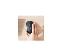MK295 Silent - Ensemble clavier et souris - sans fil - 2.4 GHz - QWERTZ - Tchèque - graphite