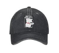 MKJDFTYU Dessins animés pour familles Brian Griffin Qui est Un Bon garçon Casquettes de Baseball en Coton usé à Snapback Unisexe Casquette extérieure réglable