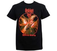 MKJHYVBFDXZ Destroyer 666 Men's Phoenix Rising T Shirt Black Manches Courtes(Large)