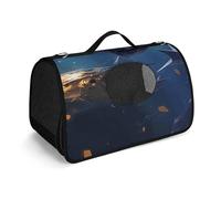MKLYR Sac de transport pour animaux de compagnie, motif animaux marins lumineux, sac à main pour animal domestique, sac à main en maille respirante, coussin doux, sac de voyage pour chat et petit