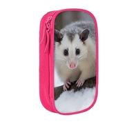 MKNAZ Opossum Trousse à crayons avec imprimé neige double couche pour étudiants, artistes, école, bureau, université, noir, rose, One Size, Cartable