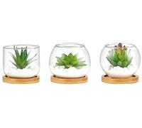 Mkono Lot de 3 mini plantes grasses artificielles dans un pot en verre transparent pour femme, décoration de bureau, petite plante verte avec plateau en bambou pour bibliothèque, salle de bain,