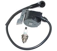 MKVAXR Bobine d'allumage, for Oleo-Mac 956 962 965 Tt162, for Efco 156 162 165 Tt962 50022007Br Module de bobine d'allumage pour outils de jardin