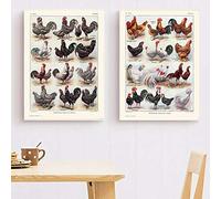 MKWDBBNM Toile Peinture Poules et Coqs Français Races Imprimer Volaille Poules Affiche Vintage Cuisine Mur Art Photos Chambre Décor À La Maison | 40x50cmx2 sans Cadre