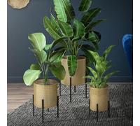 ML-Design Set de 3 Supports de Plantes, Noir et Or, en Acier, Support de Pots de Fleurs avec Cache-Pot, Porte-Fleurs Décoratif en Métal, Tabouret de Fleurs Moderne Colonne pour Salon, Entrée, Terrasse