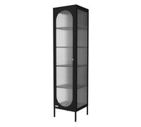 ML-Design Vitrine de Salon 42x175x40 cm, Noir, Armoire Étroite avec 5 Compartiments de Rangement/Étagères et 1 Porte, Métallique