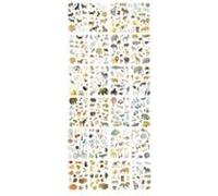 MLDOR MIMISTICK 48 PL ASSORTIS G