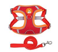 Mllepjdh Harnais pour chien - Fournitures pour animaux domestiques - Harnais de poitrine pour chien - Corde réfléchissante de type gilet de traction pour chien - Harnais de marche en plein air