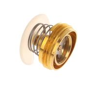 Mllepjdh Lot de 10 noyaux de régulateur de pression pour chauffe-eau Rapid Response Design Accessoires de réparation d'eau Structure métallique Accessoires de bain pour la maison