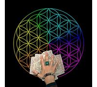 Mllepjdh Sac de transport pour petits animaux de compagnie, sac de transport pour chiens de petite taille, sac de transport pour chats et chiens, sac de voyage