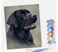 MLNMENG Peinture par Numéros pour Adultes Kit de Peinture à l'huile sur Toile par Numéro Avec cadre pour ou Débutants Avec Pinceaux à Dessin 40 x 50 cm Portrait d'un chien noir