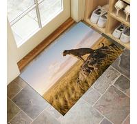 MLSOWM Tapis de Porte, 60 x 90 cm Profil Bas Savane Africaine Paillasson Interieur Entree Léopard Tapis de Sol Antidérapant Lavable Doux et Pratique pour Entrée, Couloir, Cuisine, Jaune