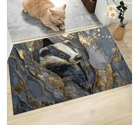 MLSOWM Tapis de Porte de Mur De Verre Fissuré, 60 x 120 cm Paillasson de Blaireau De Dessin Animé Paillasson de Bienvenue Tapis d'entrée pour intérieur et extérieur, Bleu-Gris