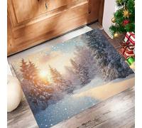 MLSOWM Tapis de Porte des Flocons De Neige Tombent Paillasson 60 x 90 cm Exterieur Entree Tapis de Sol Forêt d'hiver Antidérapant Absorbant pour Intérieur, Chambre, Cuisine, Couloir, Brun