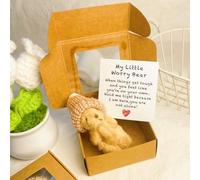 Mlthcig Little Bear in Box, My Little Worry Bear in a Box, Pocket Bears Hug, Handmade Mini Plush Teddy Bears with Hat, Send a Friend Stuffed Animals Sympathy Gift with Inspirational Card(Marron)