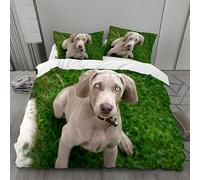 MLUNKQAIL Housse de Couette 220x240 l'herbe Verte, Parure de Lit Braque De Weimar, Sets de Housses de Couettes 3 Pièces Microfibre avec Fermeture Éclair et 2 Taies d'oreiller 65x65 cm