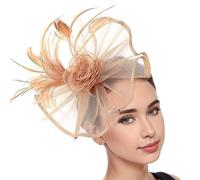 MLWSKERTY Chapeau Fascinateur en Maille De Fleur Délicate pour La Nuptiale Les Cocktails La Photographie De Fête Les Mascarades Les Rassemblements Les Événements D'église