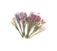 MLWSKERTY Decorative Colorful Dried Floral Bedding Set for Small Pet Creates Natural Flower Habitat Dried Flower Bouquets for Hamster Habitat