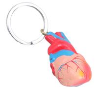 MLWSKERTY Modèle De Cœur Précis Du Cœur Keychain Réaliste L'anatomie Outil D'étude Pour Les Médecins Étudiants Légers 20 G Science Créatif D'anatomie