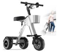 MLYYYDSS Trottinette 3 Roues pour Adultes, Tricycle Pliable léger avec Marche arrière, Batterie 36 V 10 Ah, Moteur 450 W, 20 Vitesses maximales, pneus de Ville 10 Pouces, pour Seniors