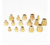 MMLFX Raccord de Tuyau en Laiton NPT Femelle à mâle BSP 1/8" ; 1/4" ;3/8" ; 1/2" ;Connecteur Adaptateur for Manomètre Air Gaz Carburant Eau 1pc (Size : Type 5)