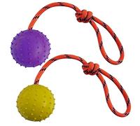 MMSGA 2 Pcs Jouet pour Chien et Chat Balle avec Corde,Boule Creuse en Caoutchouc Naturel pour Attraper, Lancer et Remorquer la Guerre, Pas pour Les Chiens à Forte Mastication (L, Violet + Jaune)