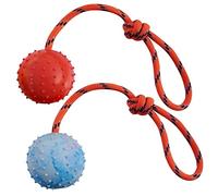 MMSGA 2 Pcs Jouet pour Chien et Chat Balle avec Corde,Boule Creuse en Caoutchouc Naturel pour Attraper, Lancer et Remorquer la Guerre, Pas pour Les Chiens à Forte Mastication (L, Blanc + Rouge)