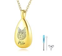 MMXX Portrait D'animal Personnalisé Collier Urne en Forme de Larme pour Cendres avec Nom/Photo Acier Inoxydable Bijoux Commémoratif de Crémation pour Amoureux des Animaux (Or - Photo)