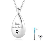 MMXX Portrait D'animal Personnalisé Collier Urne en Forme de Larme pour Cendres avec Nom/Photo Acier Inoxydable Bijoux Commémoratif de Crémation pour Amoureux des Animaux (Argent - Texte)