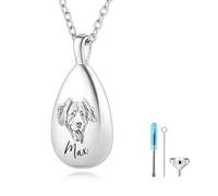 MMXX Portrait D'animal Personnalisé Collier Urne en Forme de Larme pour Cendres avec Nom/Photo Acier Inoxydable Bijoux Commémoratif de Crémation pour Amoureux des Animaux (Argent - Photo)