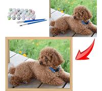 mnbhj Kit de Peinture personnalisée par numéro, Peinture à l'huile personnalisée, Couleur personnalisée par numéro, Peinture de Bricolage Peinture sur Toile pour Enfants Adulte(50 * 60CM,sans Cadre)