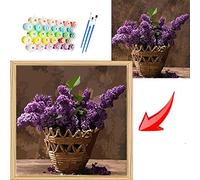 mnbhj Peinture à l'huile personnalisée ，Kit de Peinture personnalisée par numéro,Couleur personnalisée par numéro, Peinture de Bricolage Peinture sur Toile pour Enfants Adulte（30 * 40CM，sans Cadre）