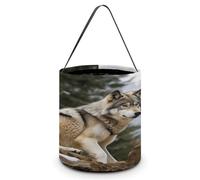 MNBVKL Sac à fructose, sac de rangement de voyage, panier à bonbons, loup sauvage des neiges, taille unique, Snow Mountain Wild Wolf, Taille unique, Élégant