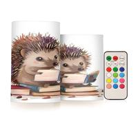 Mnsruu Hérisson Livre de lecture Bougies pilier sans flamme avec minuterie à distance LED à piles Changement de couleur