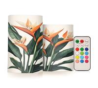 Mnsruu Sterlitzia Botanical Bougie pilier sans flamme avec minuterie à distance LED à piles Changement de couleur