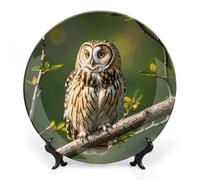 MNVTSKOP Assiette décorative en porcelaine anglaise avec branches d'arbre de hibou, assiettes décoratives en céramique avec présentoir - Assiettes rondes en porcelaine - 20,3 cm