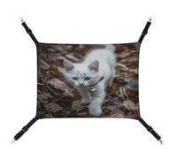 MNVTSKOP Blue Eyes Hamac respirant à suspendre pour chat avec sangles réglables et crochets en métal pour petit animal de compagnie pour intérieur et extérieur